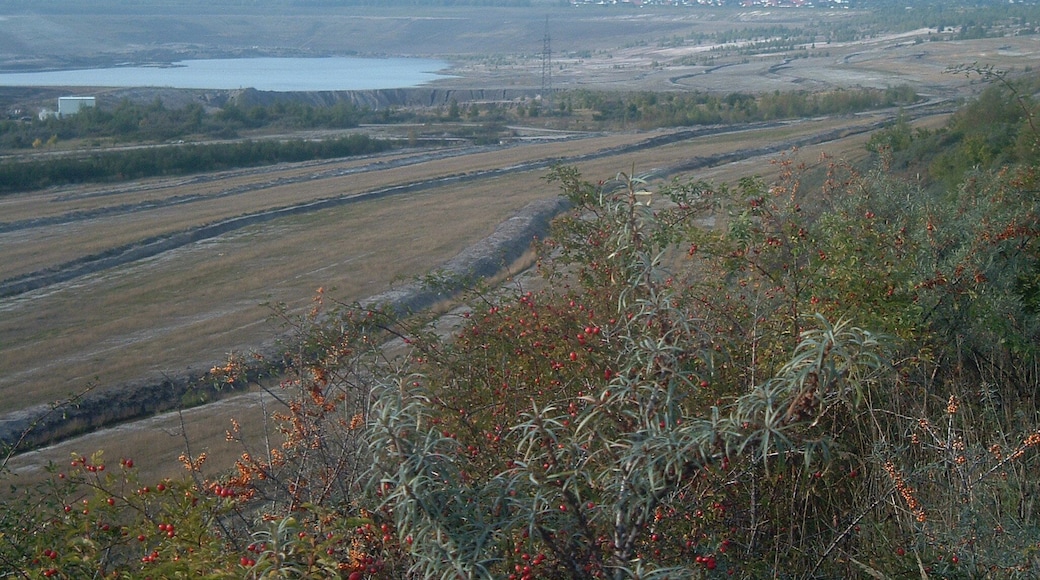 Harbke ehemaliger Braunkohlentagebau Sicht nach Helmstedt