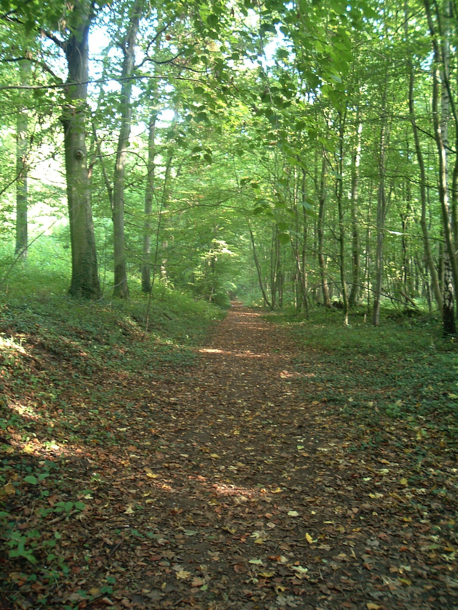 Harbke Forst Schlosspark nach Marienborn