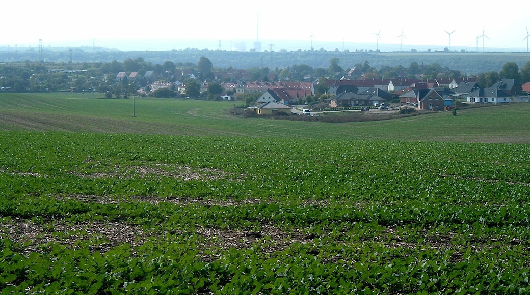 Schlosspark zum Bärengrund Blick nach Harbke