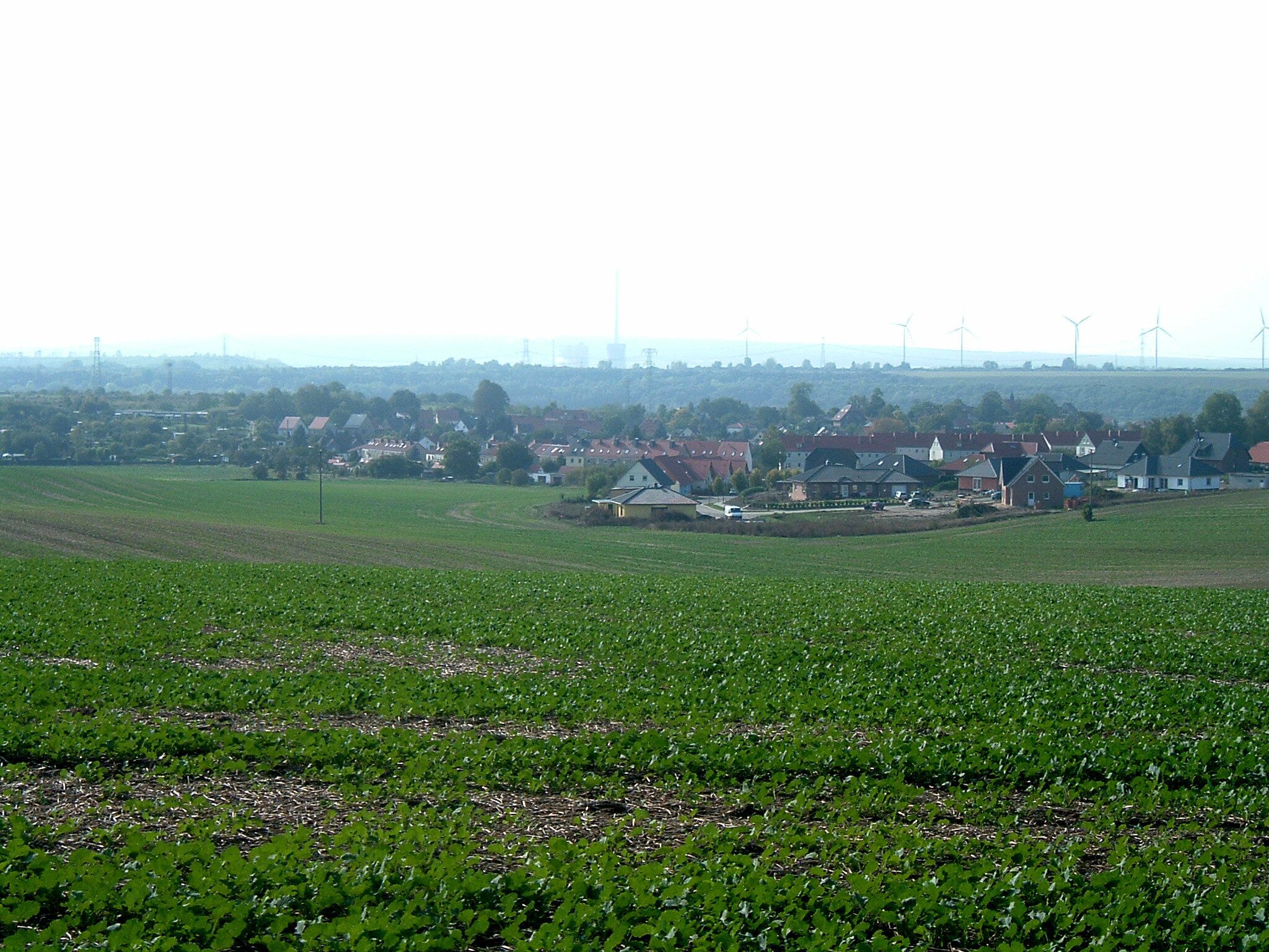 A rural landscape with fields, wind turbines, and a cluster of houses.