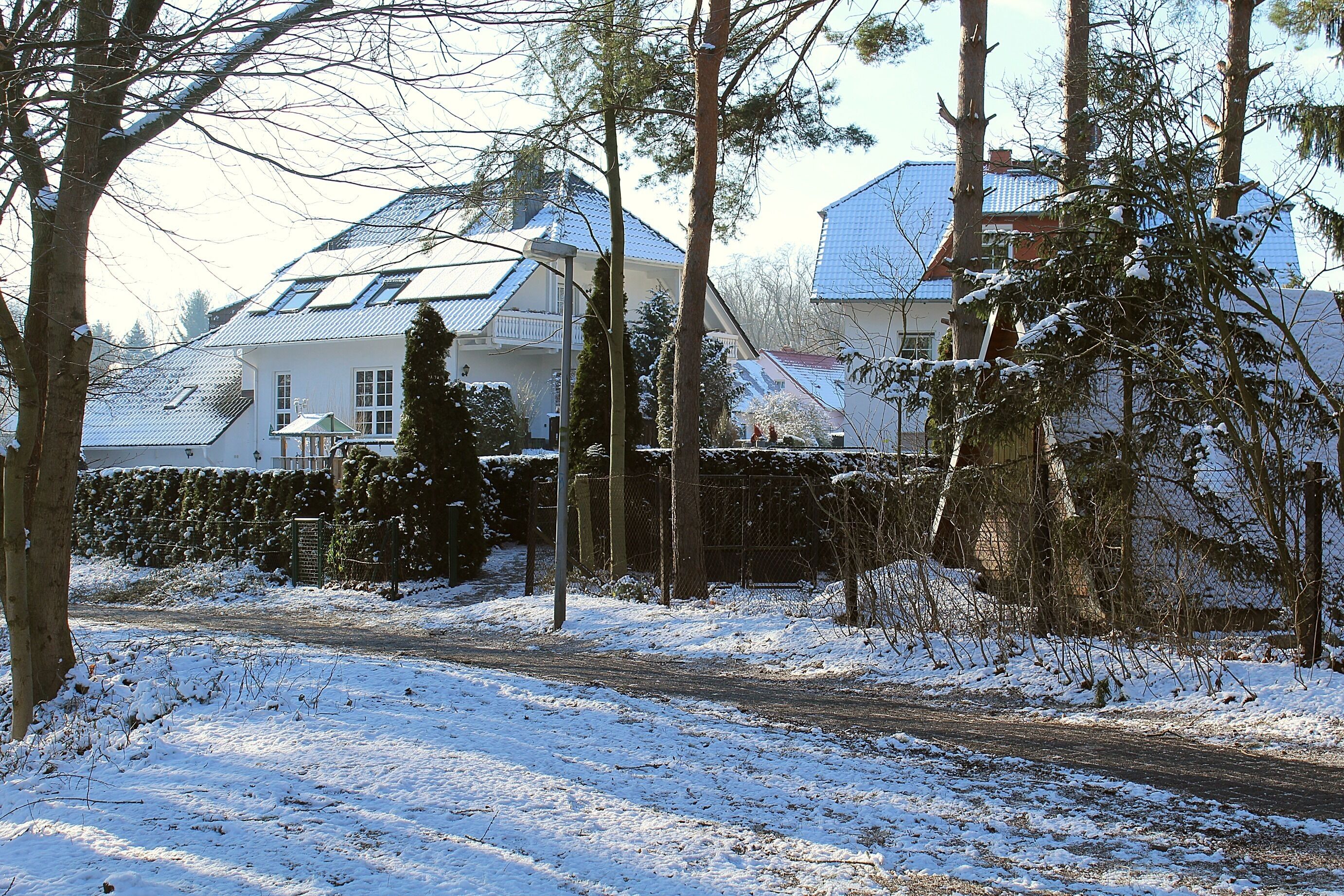 Un barrio residencial cubierto de nieve con casas, árboles y una calle.