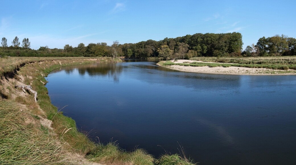 Der Fluss Mulde im Biosphärenreservat Mittelelbe mit Prallhang und Gleithang