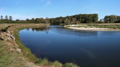 Der Fluss Mulde im Biosphรคrenreservat Mittelelbe mit Prallhang und Gleithang