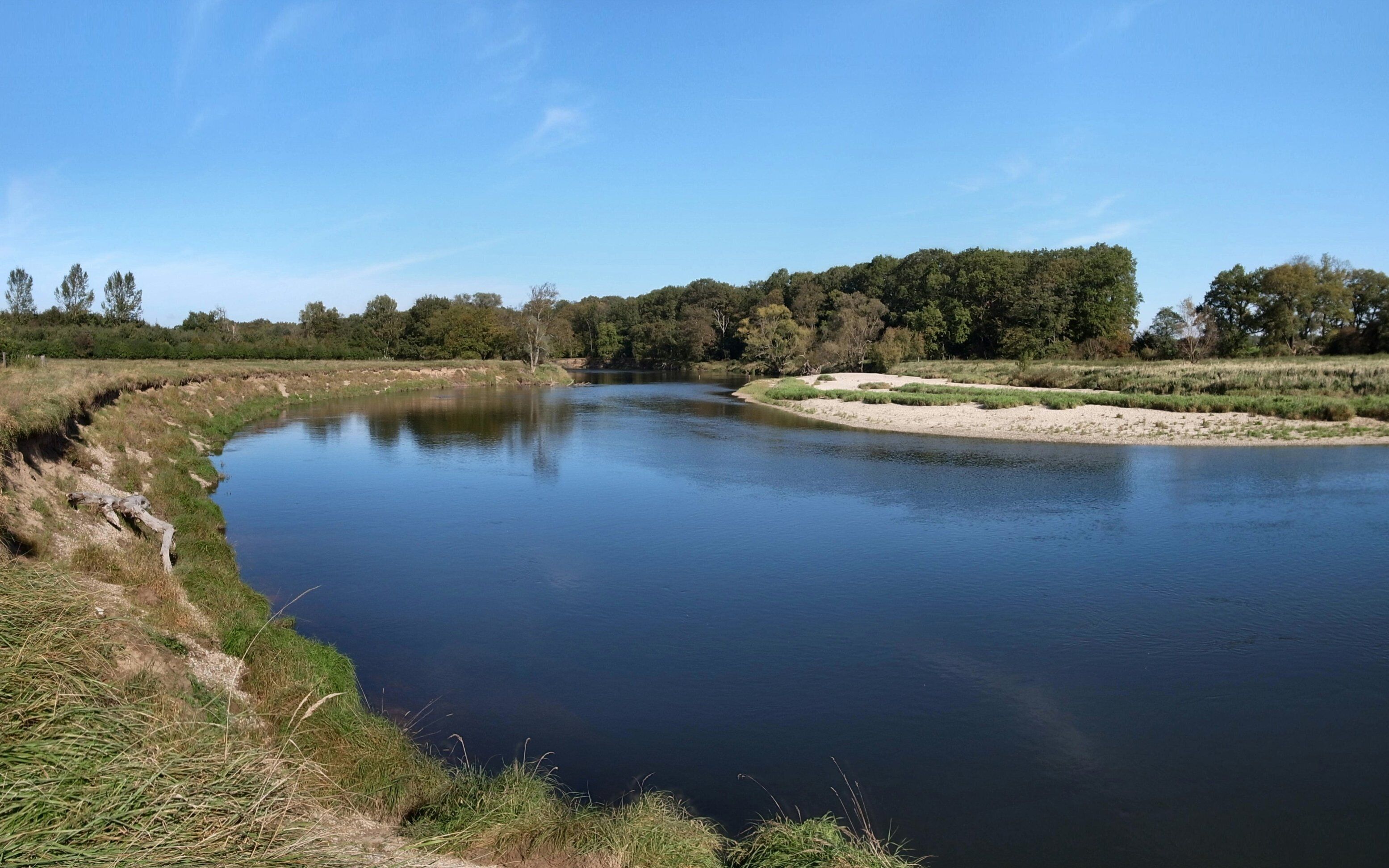 A calm river with grassy banks and dense trees in the background.