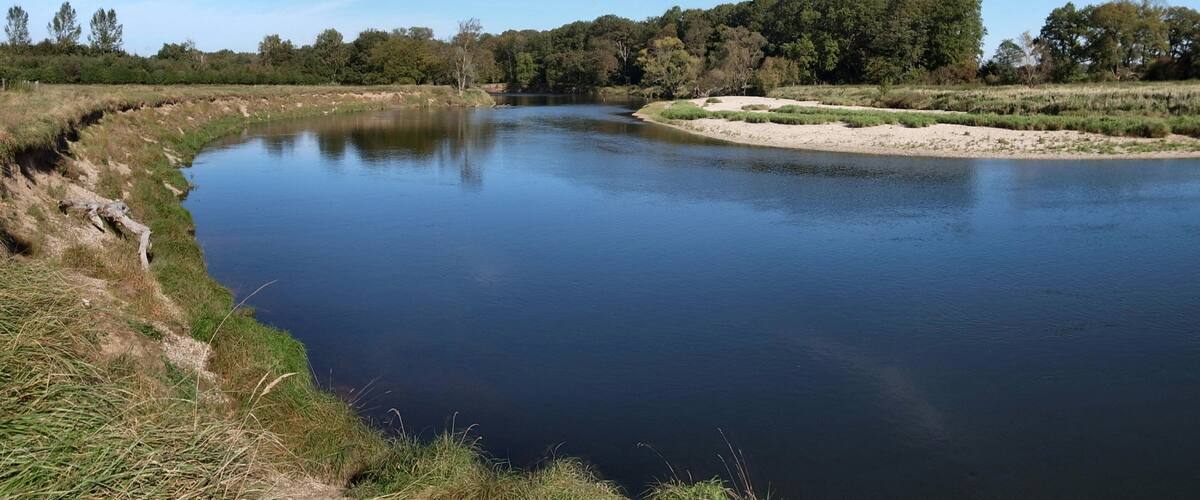 A calm river with grassy banks and dense trees in the background.
