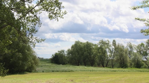 Zöllschen (Bad DĂŒrrenberg), landscape