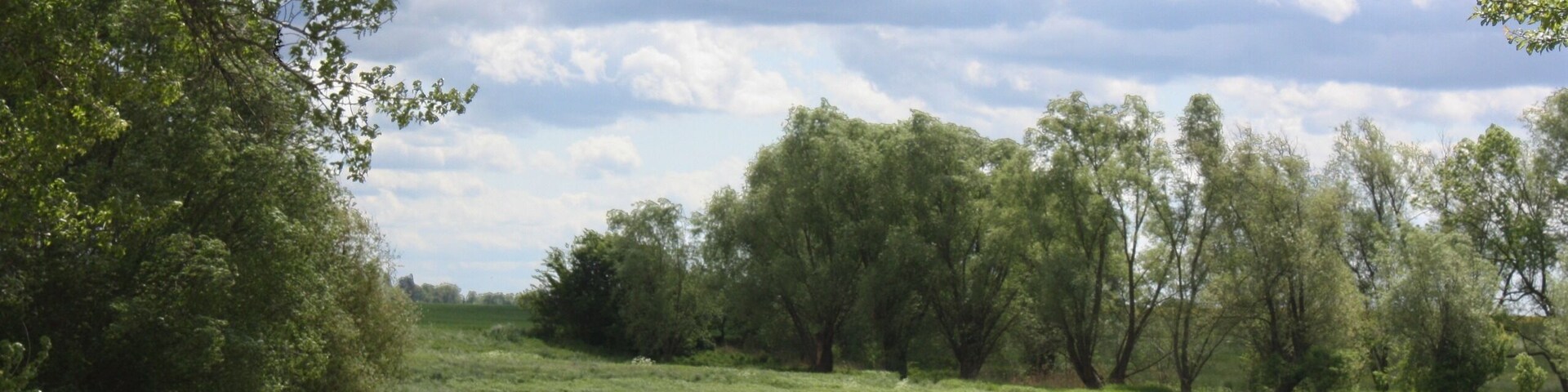 Zöllschen (Bad Dürrenberg), landscape