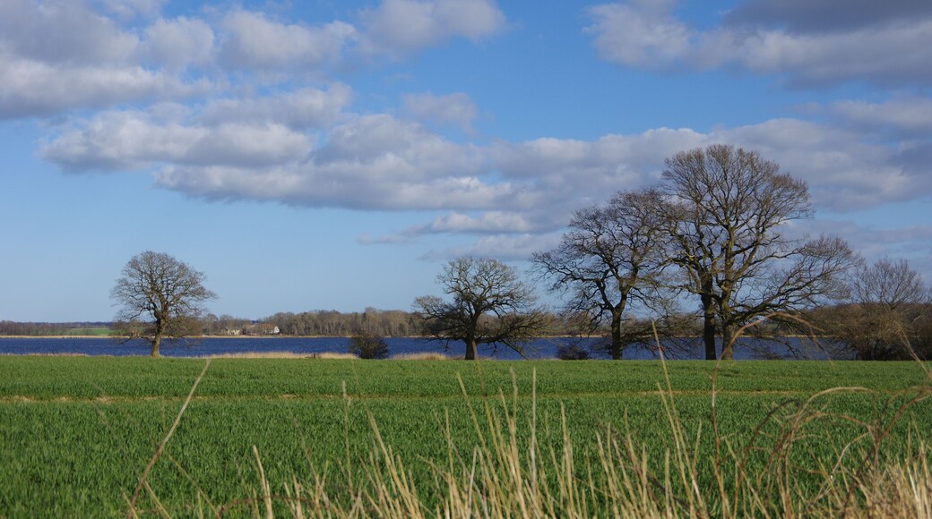 Naturpark Schlei in Schleswig-Holstein. Der Naturpark bei Boknis an der nördlichen Schleiseite.