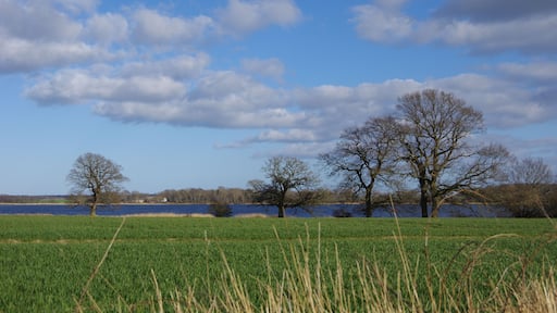 Naturpark Schlei in Schleswig-Holstein. Der Naturpark bei Boknis an der nördlichen Schleiseite.