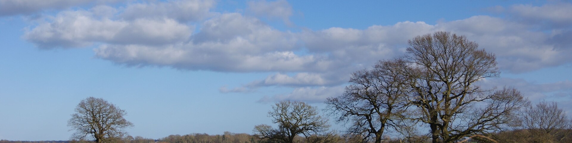 Naturpark Schlei in Schleswig-Holstein. Der Naturpark bei Boknis an der nördlichen Schleiseite.