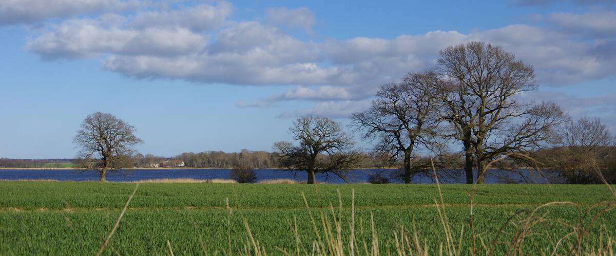 A field with tall grass in the foreground, a body of water in the middle ground, and leafless trees in the background under a partly cloudy sky.