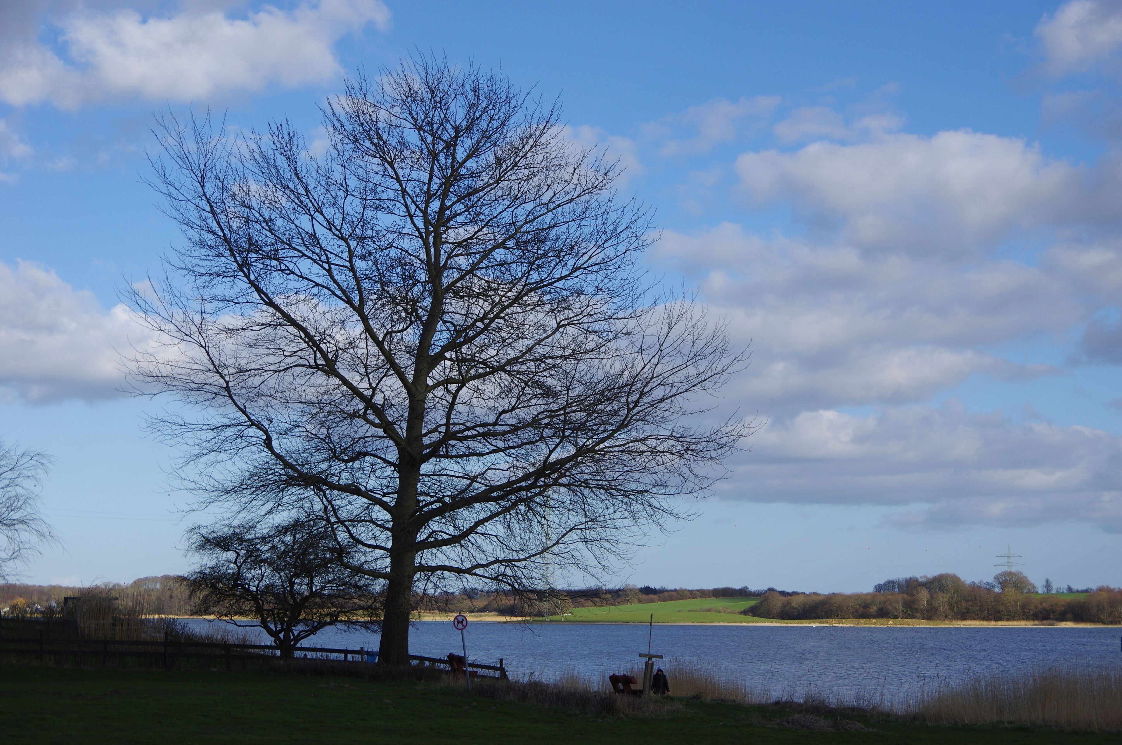 Naturpark Schlei in Schleswig Holstein. Der Aufnahmestandort befindet südlich des Ortes Bad Arnis.