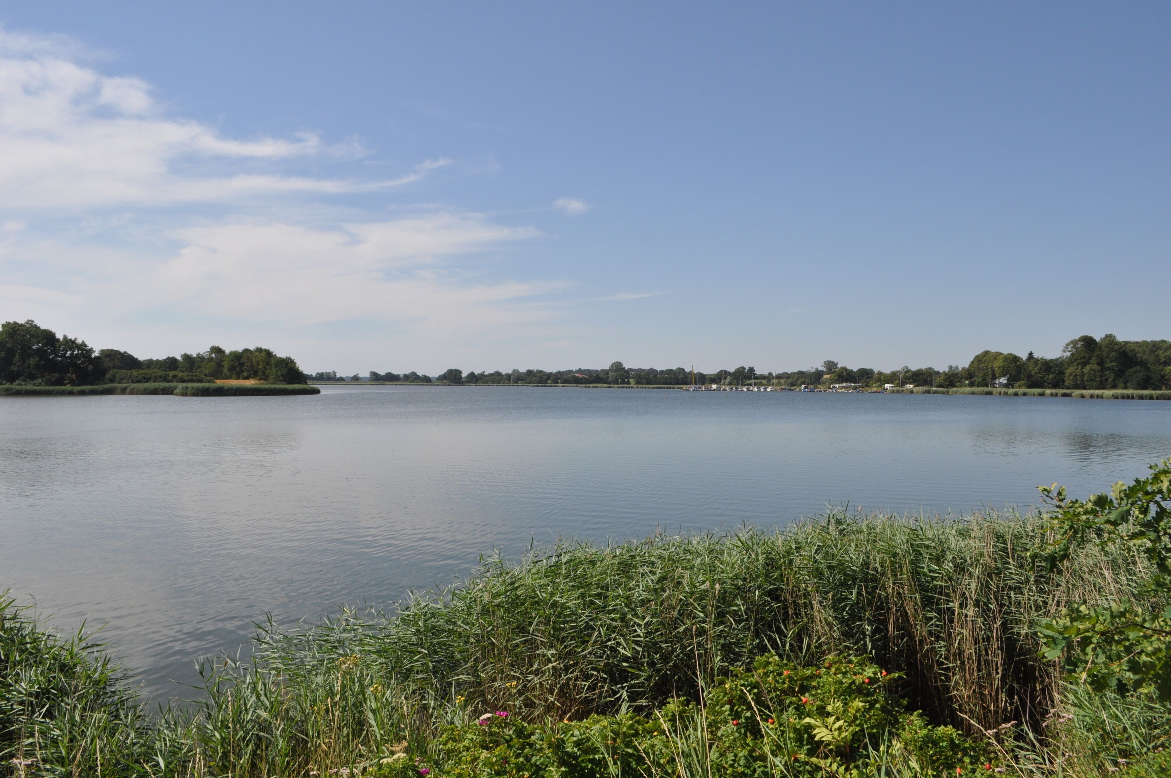 A calm lake with a clear sky, surrounded by greenery and trees.
