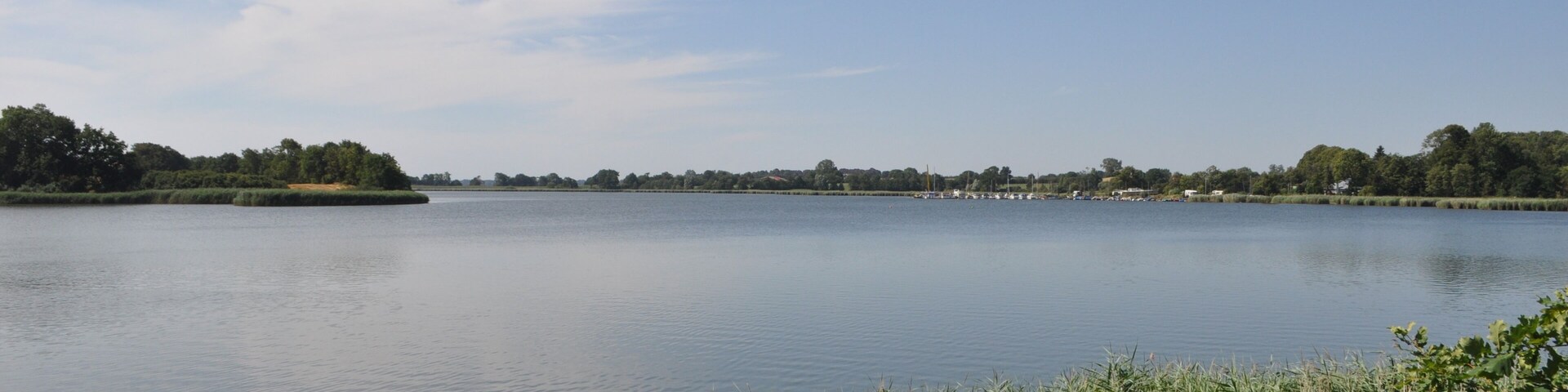 A calm lake with a clear sky, surrounded by greenery and trees.