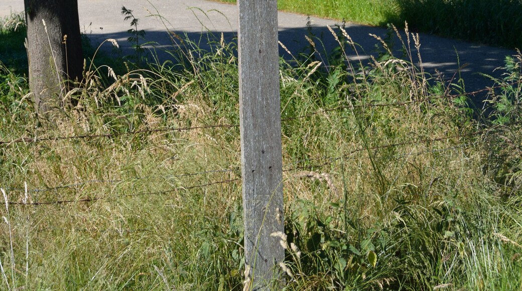 Die Hörnerau, in anderen Karten auch als Randkanal bezeichnet, bildet die Grenze zwischen Wittenbergen und Auufer. Wegweiser zur "Roten Brücke" über die Bramau