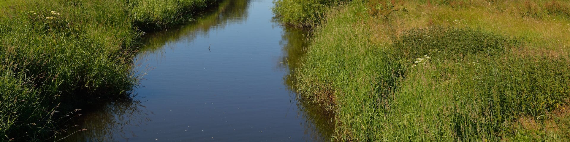 Die Hörnerau, in anderen Karten auch als Randkanal bezeichnet, bildet die Grenze zwischen Wittenbergen und Auufer.