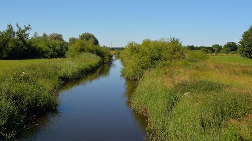 Die Hörnerau, in anderen Karten auch als Randkanal bezeichnet, bildet die Grenze zwischen Wittenbergen und Auufer.
