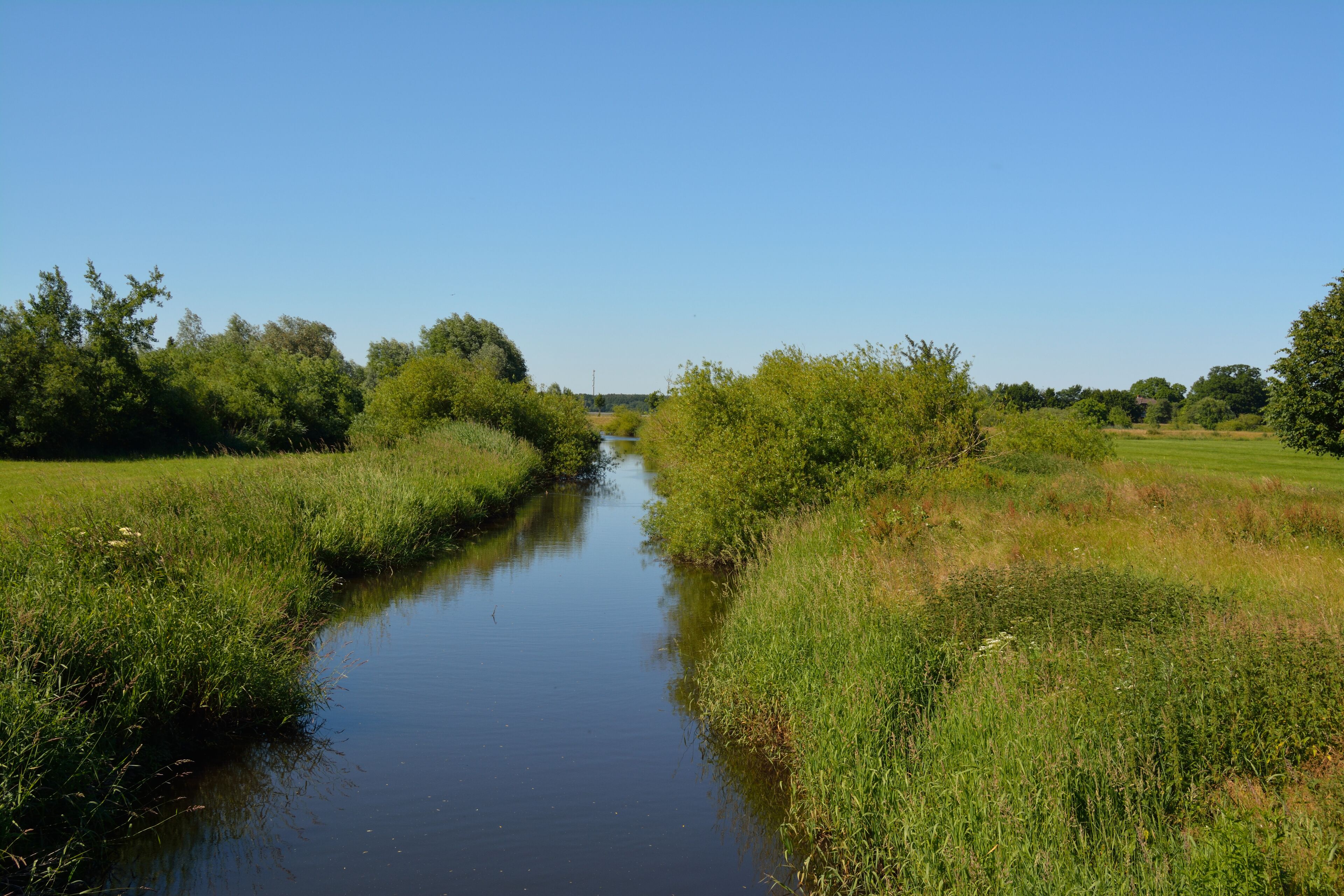 A narrow waterway flanked by lush greenery and trees under a clear blue sky.