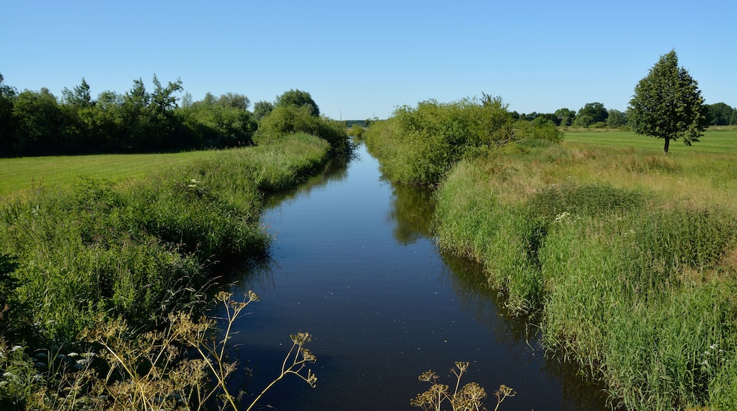 Die Hörnerau, in anderen Karten auch als Randkanal bezeichnet, bildet die Grenze zwischen Wittenbergen und Auufer.