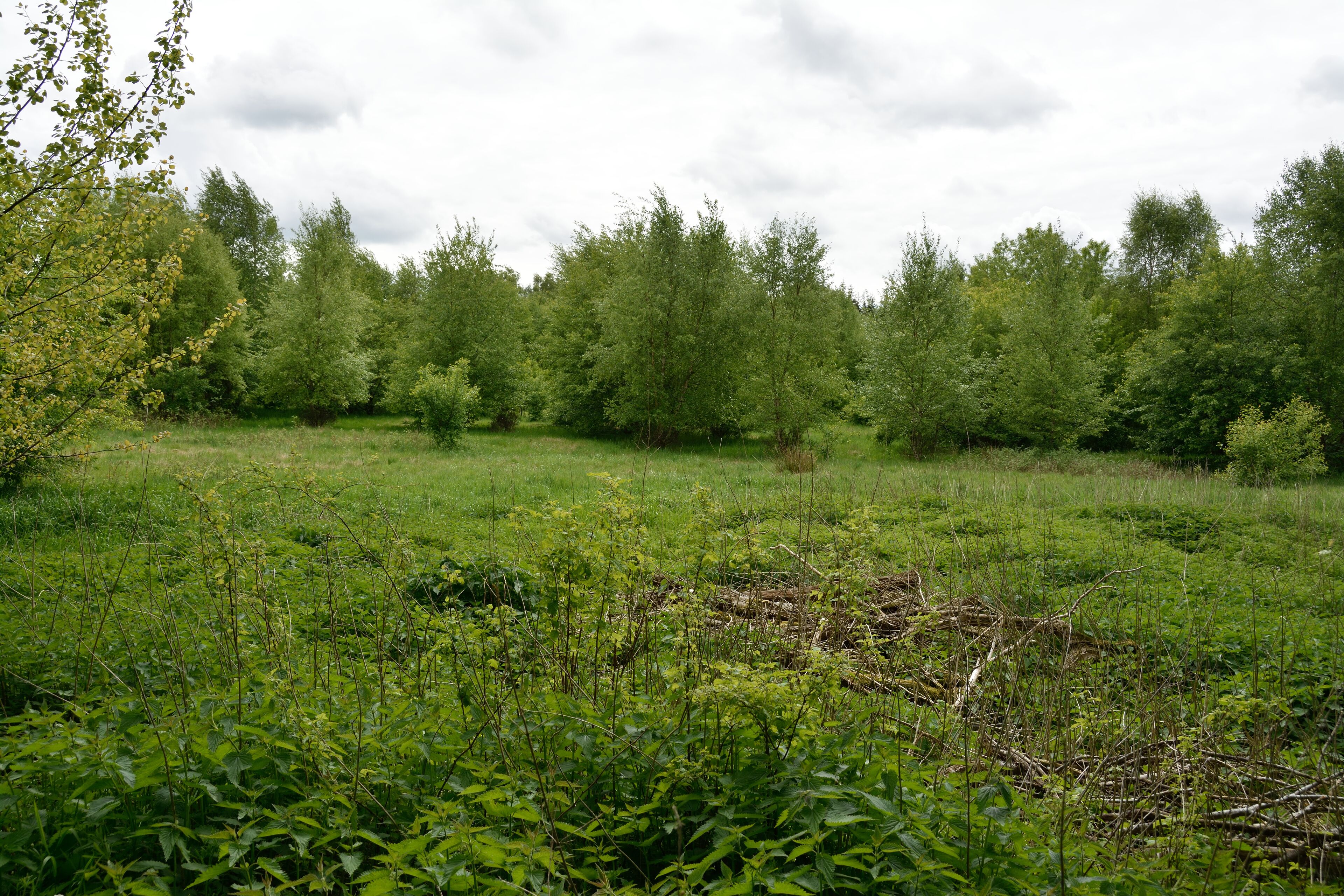 This image was uploaded as part of Wiki Loves Earth 2015.