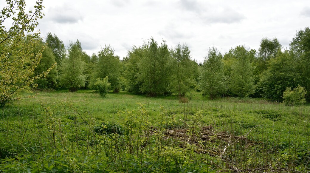 This image was uploaded as part of Wiki Loves Earth 2015.