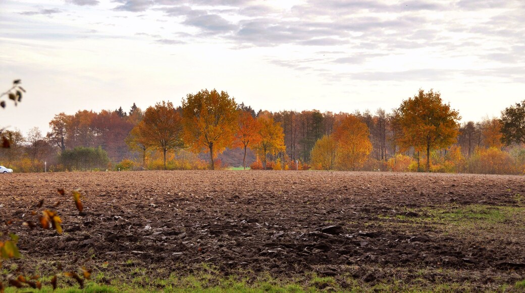 23847 Bliestorf, Germany