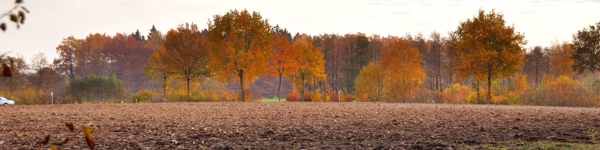 23847 Bliestorf, Germany