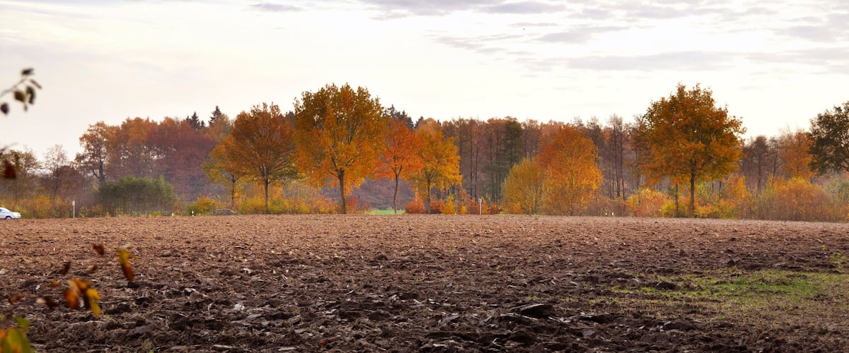 A plowed field with autumn-colored trees in the background.