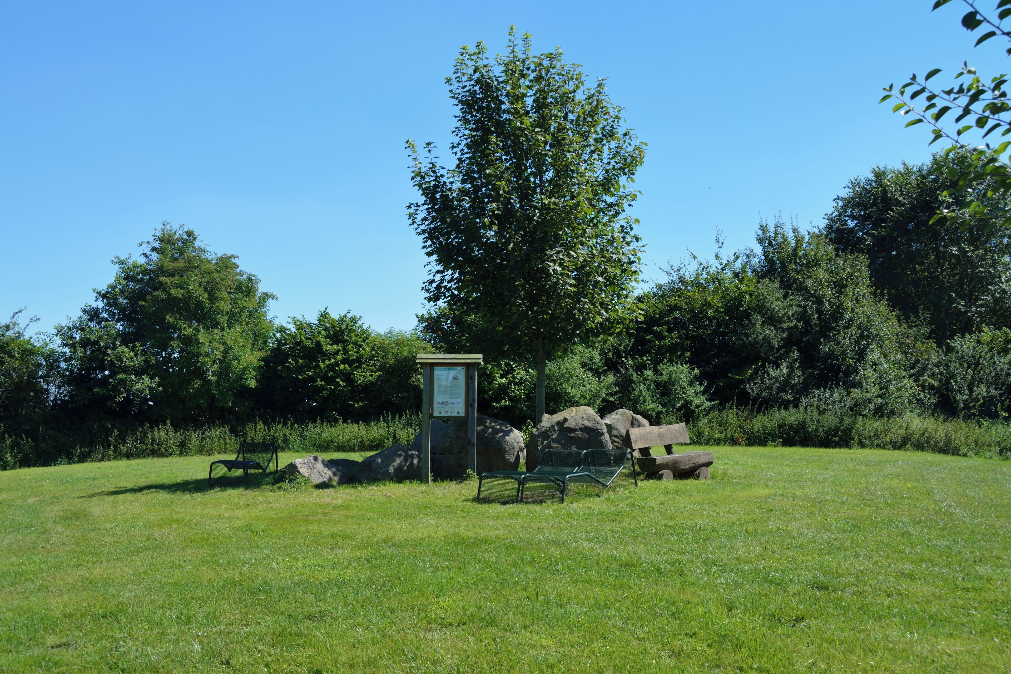 A park with a large tree, a bench, a small structure, and rocks.