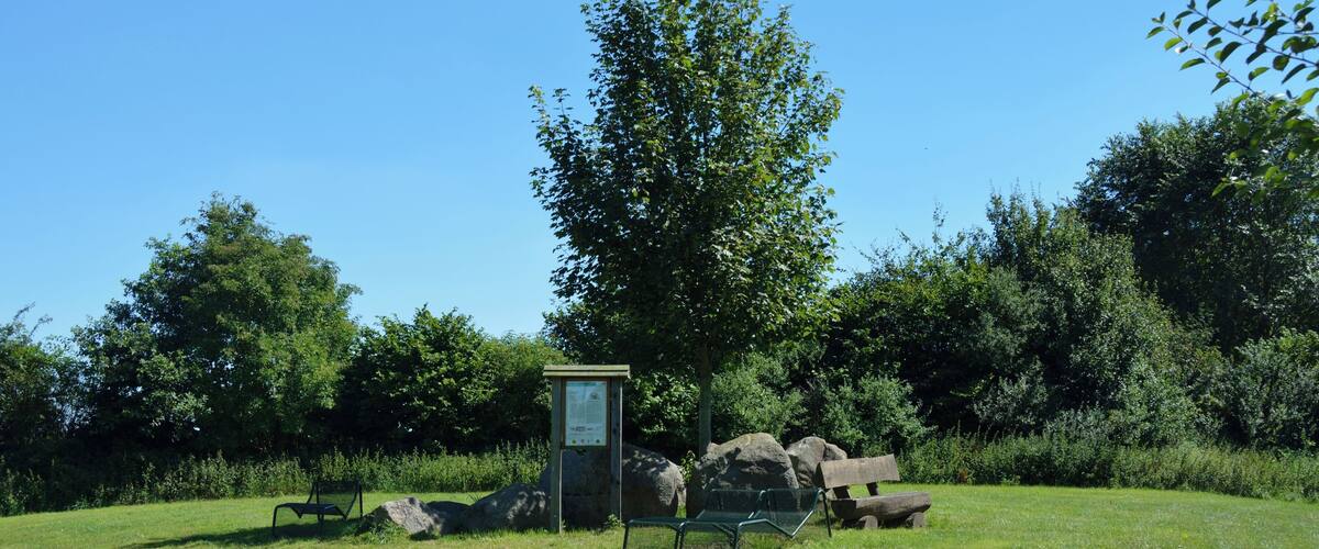 A park with a large tree, a bench, a small structure, and rocks.