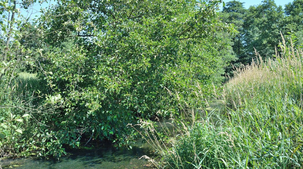 Bovenau, Naturerlebnisraum Wakendorfer Mühle