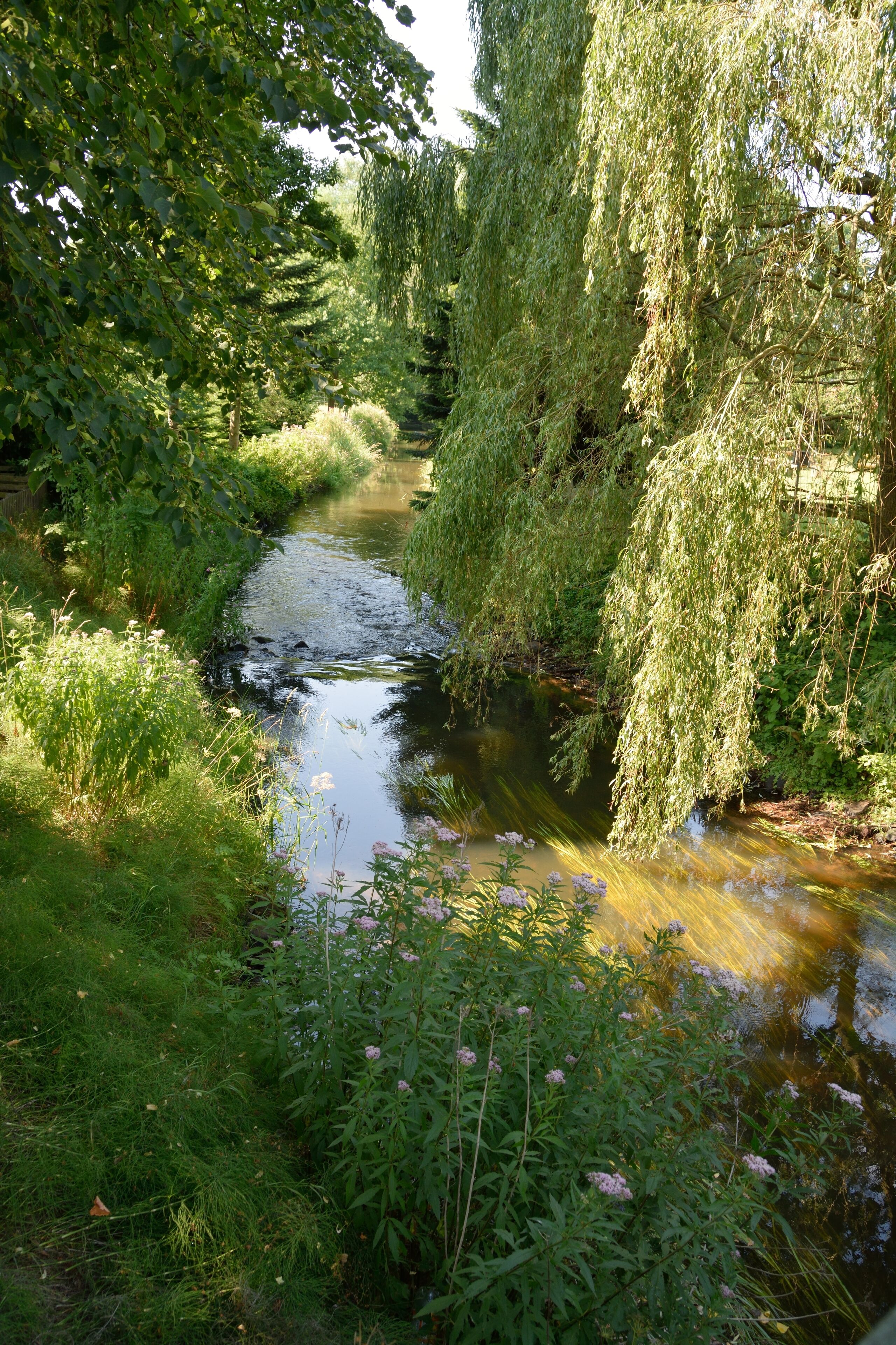 Fotos aus Brokstedt Dieses Bild zeigt die"Brokstedter Au".