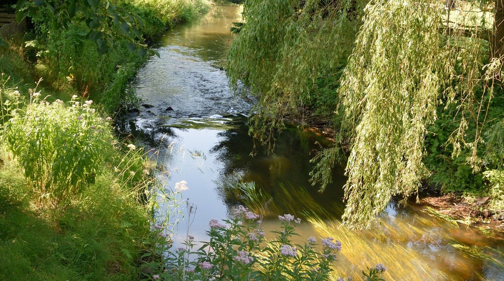 Fotos aus Brokstedt Dieses Bild zeigt die"Brokstedter Au".