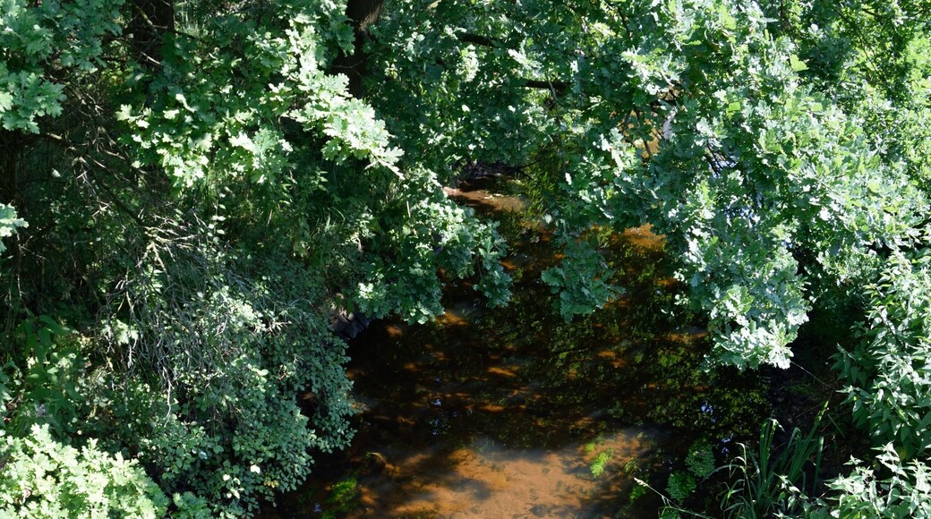 Fotos aus Brokstedt Die "Wiemersdorfer Au" in Brokstedt. Der Zusammenfluss von "Wiemersdorfer Au" und" Hardebek-Brokenlander Au" am Bahnhof Brokstedt bildet die "Brokstedter Au".
