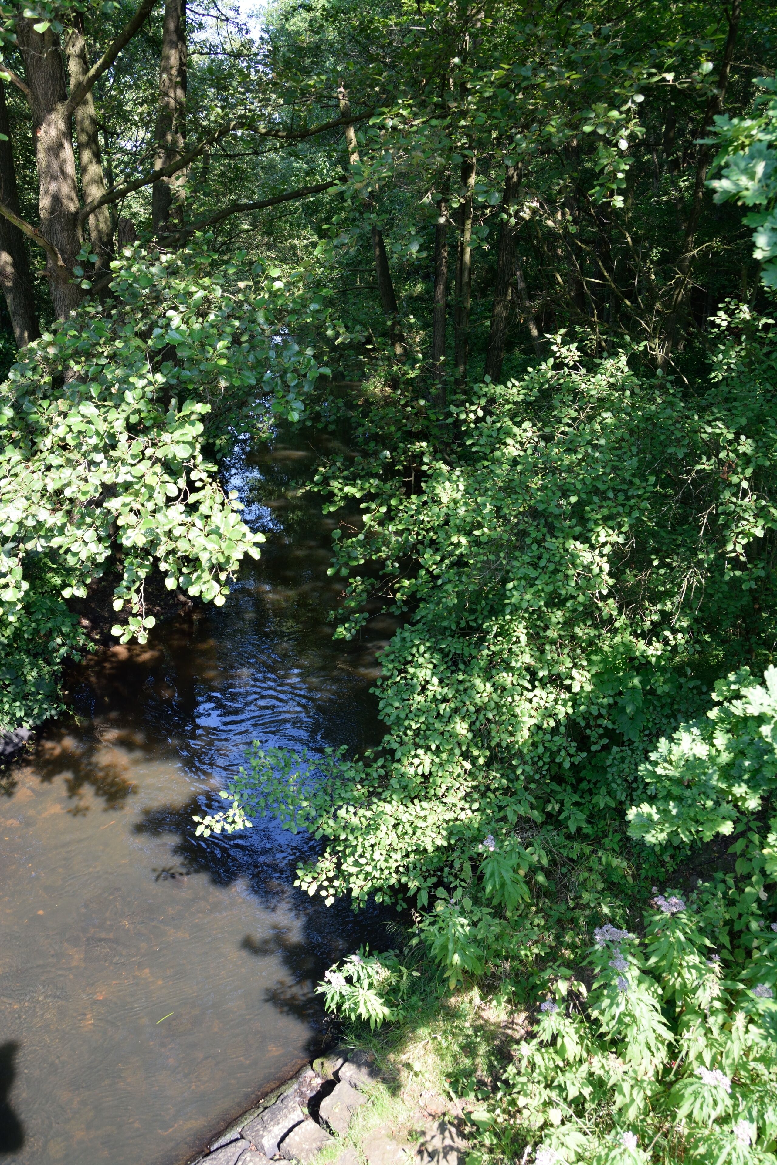 Fotos aus Brokstedt Die "Hardebek-Brokenlander Au" in Brokstedt. Der Zusammenfluss von "Wiemersdorfer Au" und "Hardebek-Brokenlander Au" am Bahnhof Brokstedt bildet die "Brokstedter Au".