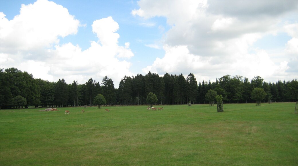 Erlebniswald Trappenkamp