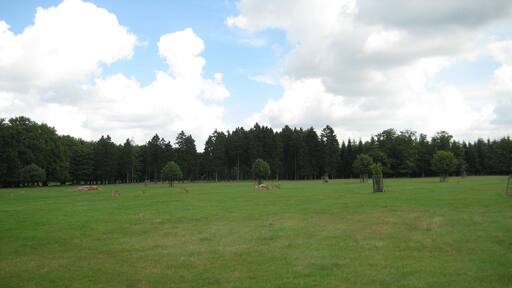 Erlebniswald Trappenkamp