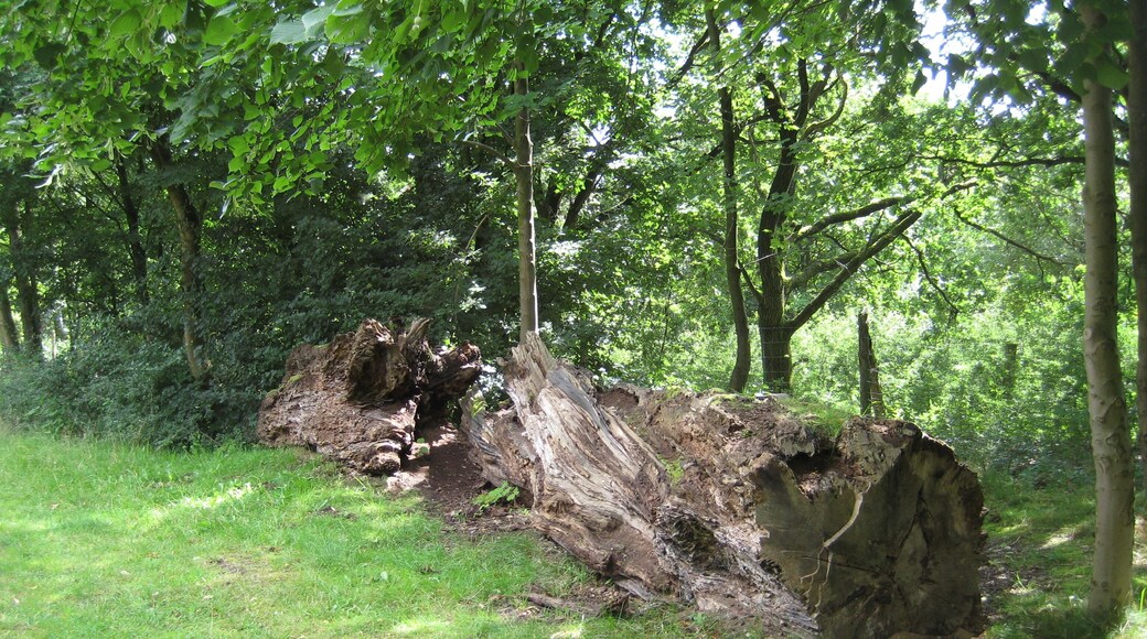 Erlebniswald Trappenkamp