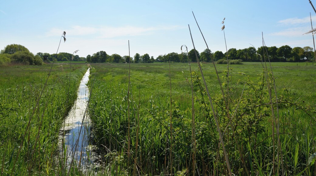 This is a picture of the protected area listed at WDPA under the ID