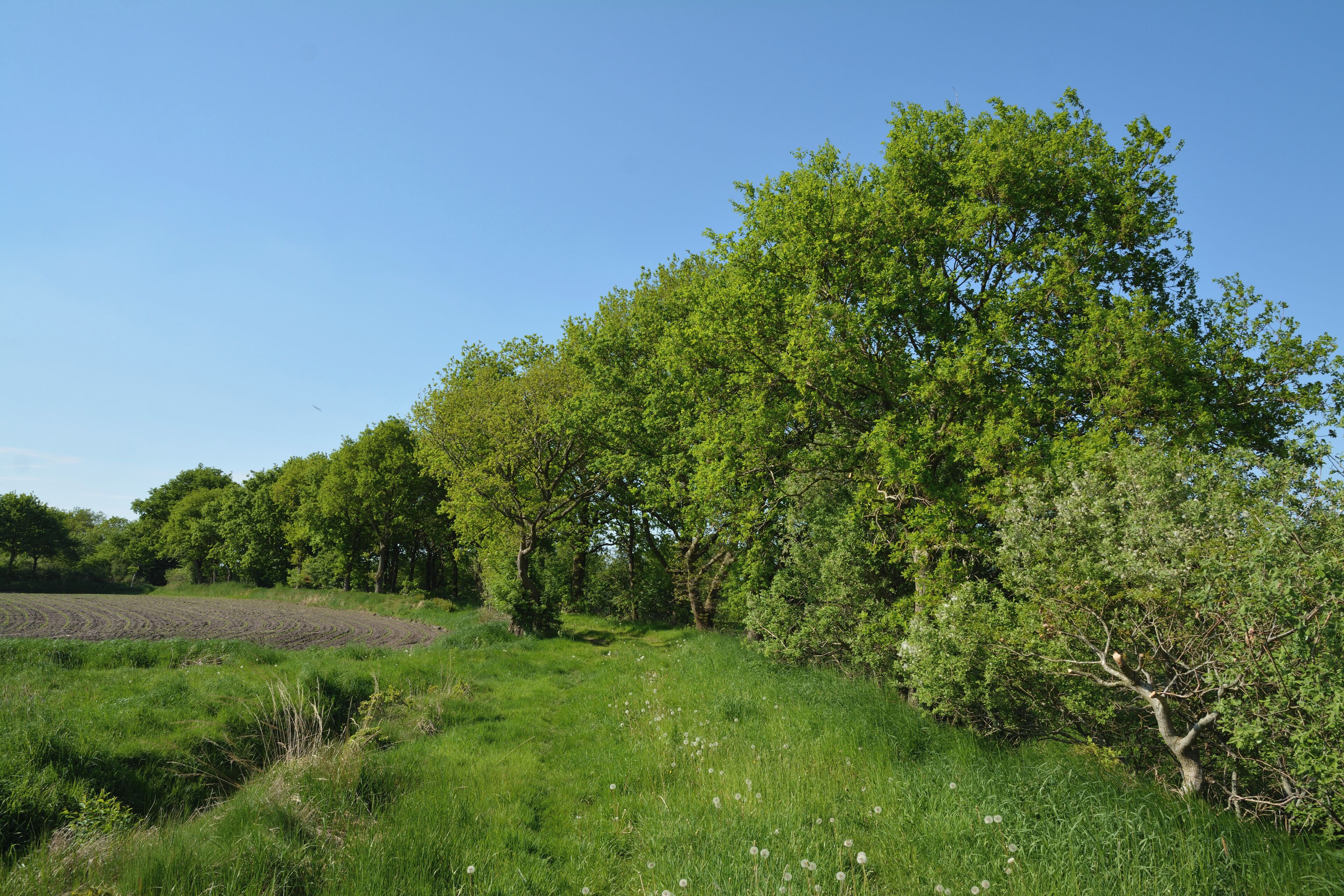 This is a picture of the protected area listed at WDPA under the ID
