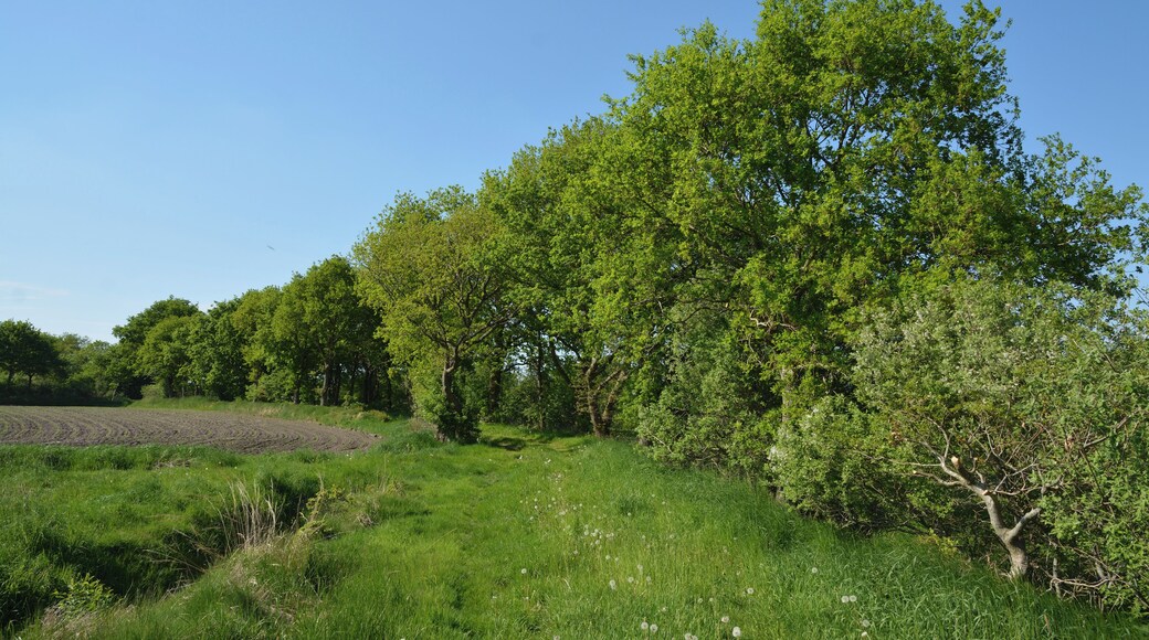 This is a picture of the protected area listed at WDPA under the ID