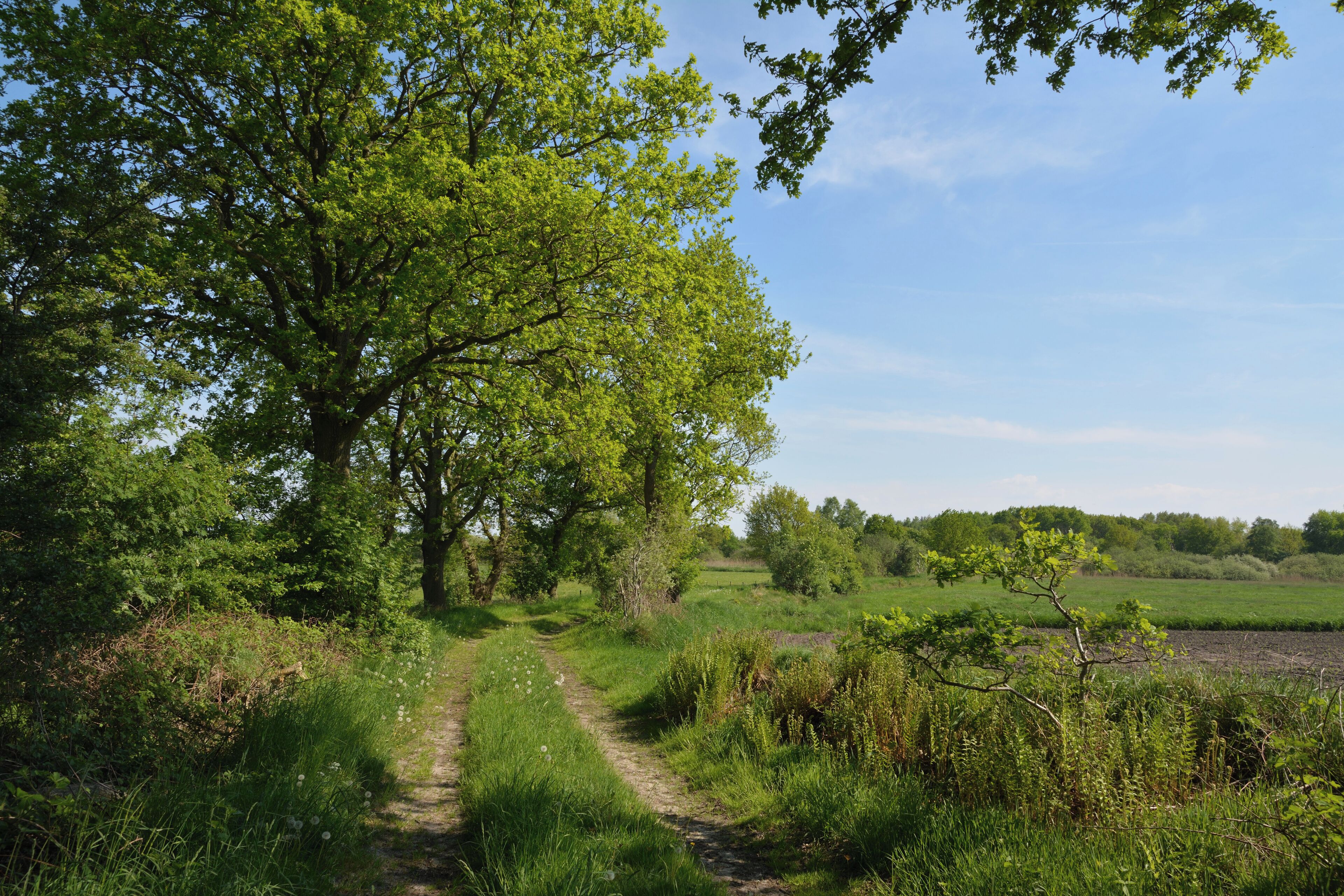 This is a picture of the protected area listed at WDPA under the ID