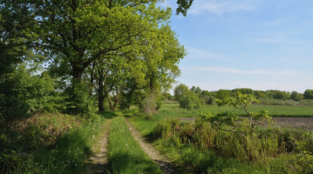 This is a picture of the protected area listed at WDPA under the ID