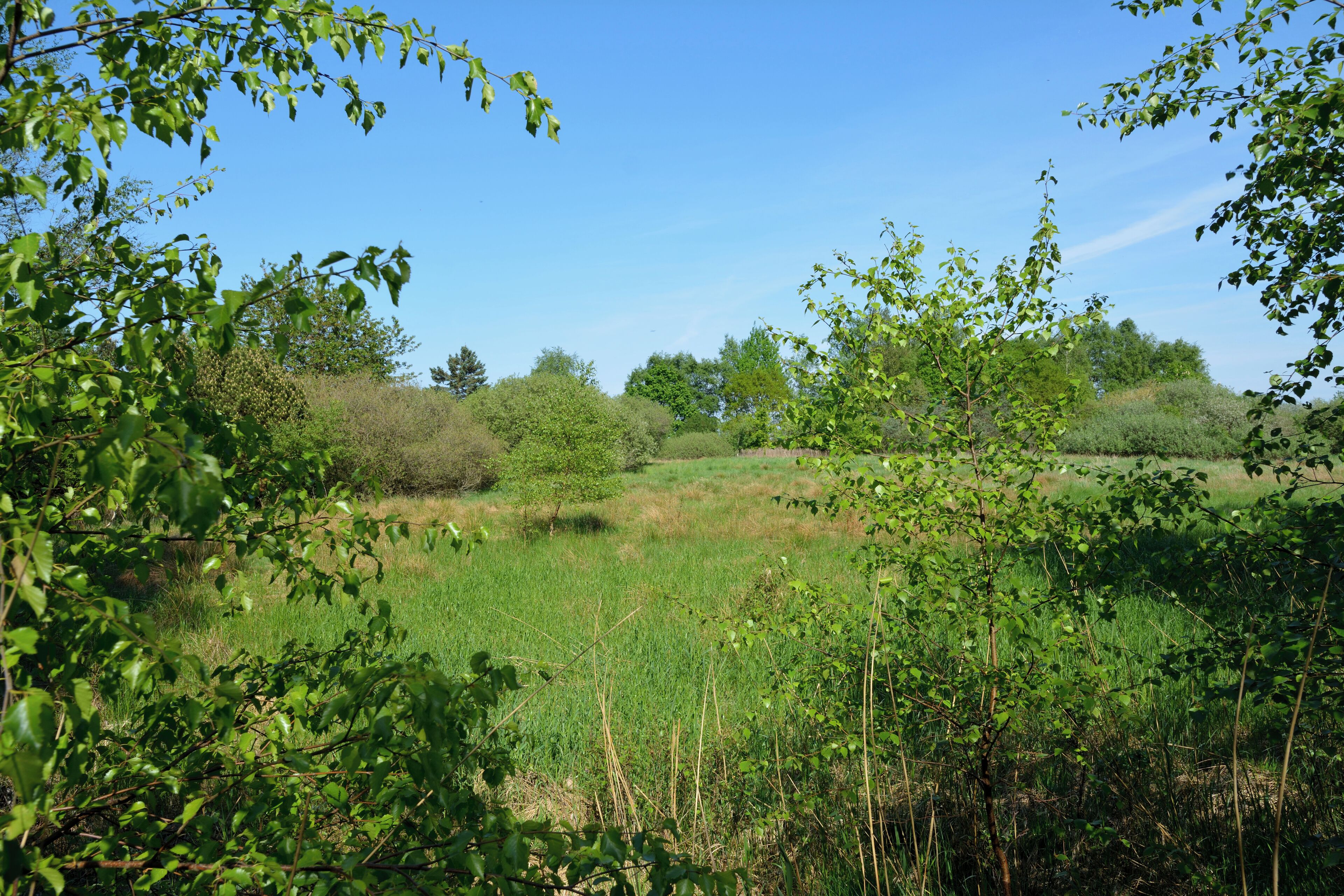 This is a picture of the protected area listed at WDPA under the ID