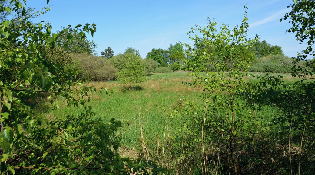 This is a picture of the protected area listed at WDPA under the ID