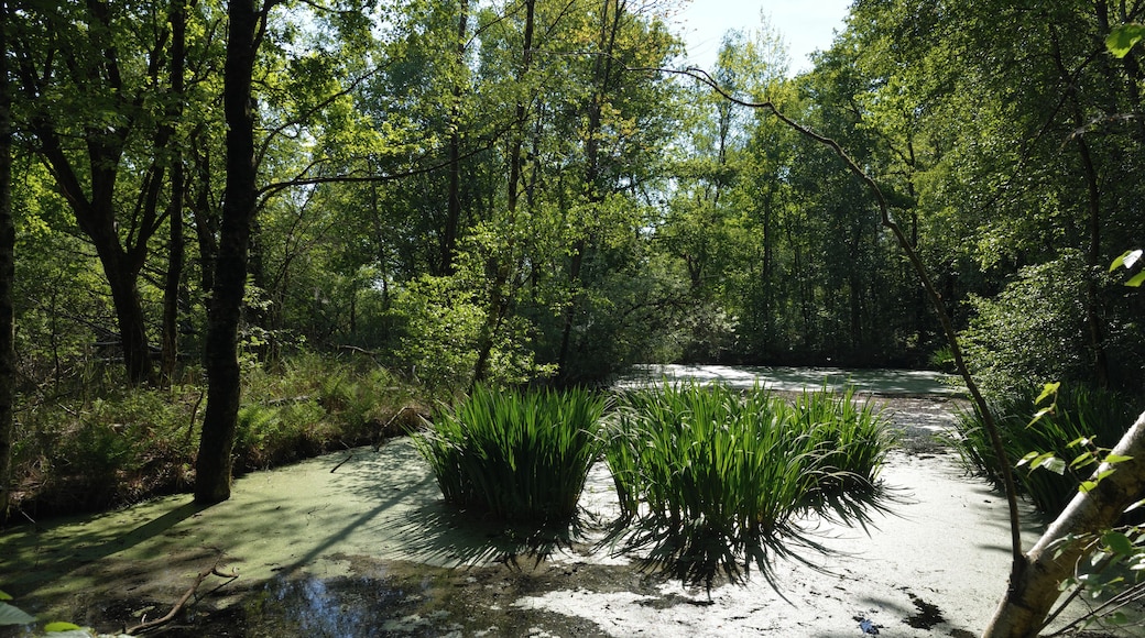 This is a picture of the protected area listed at WDPA under the ID