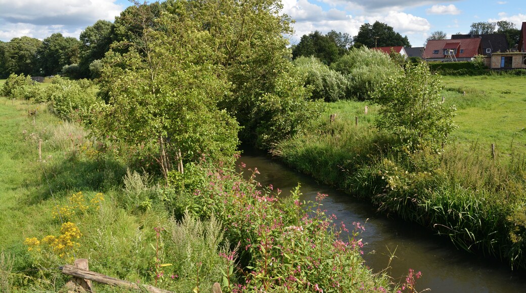 Impressionen der Störbrücke in Padenstedt