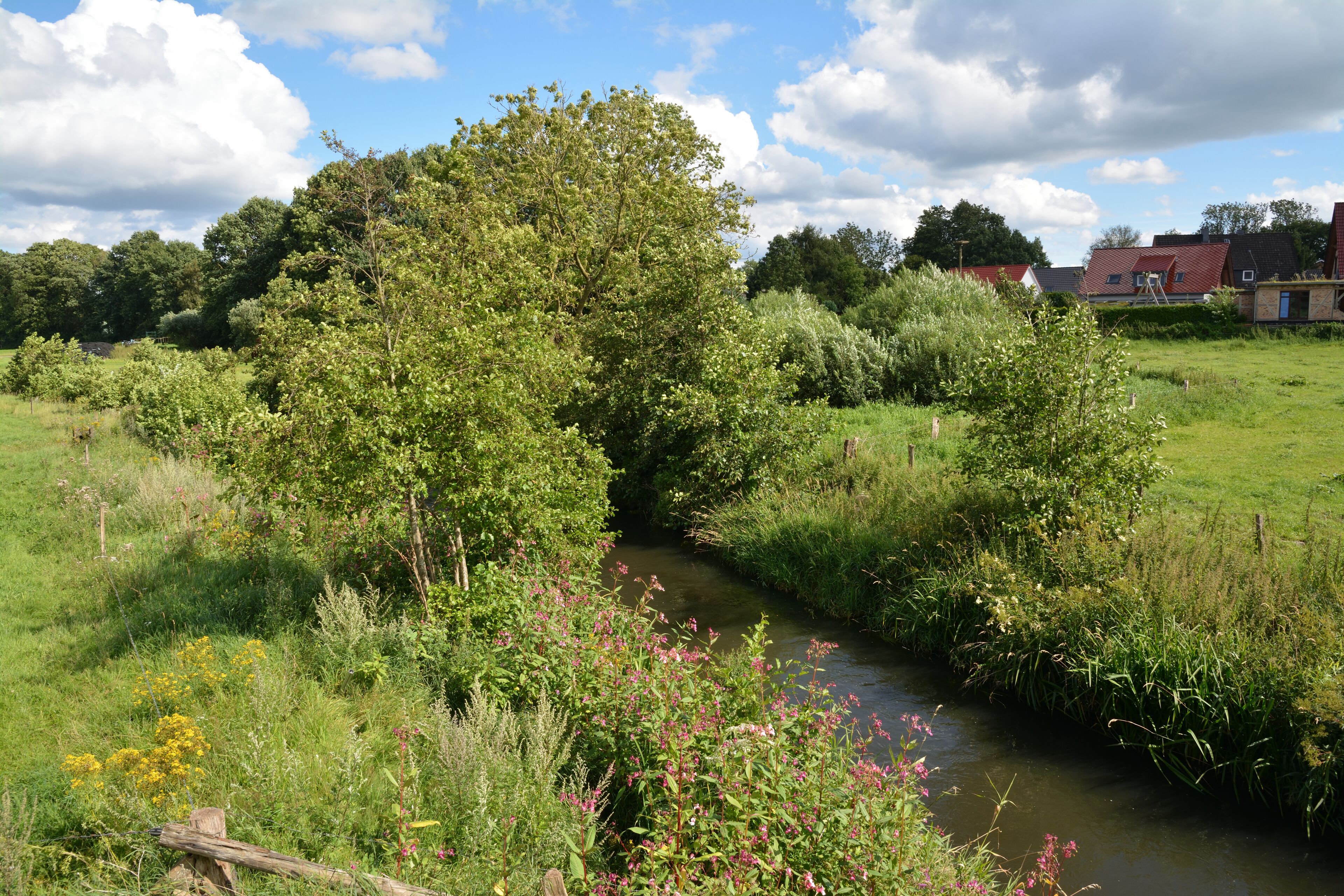 A river flowing through a lush green landscape with trees and a small building in the background.
