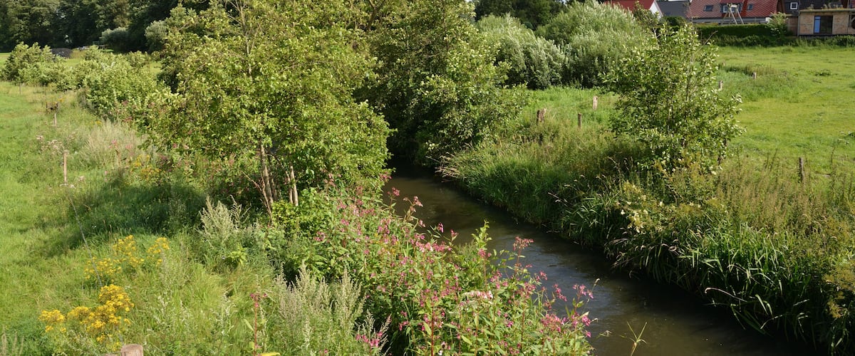 A river flowing through a lush green landscape with trees and a small building in the background.