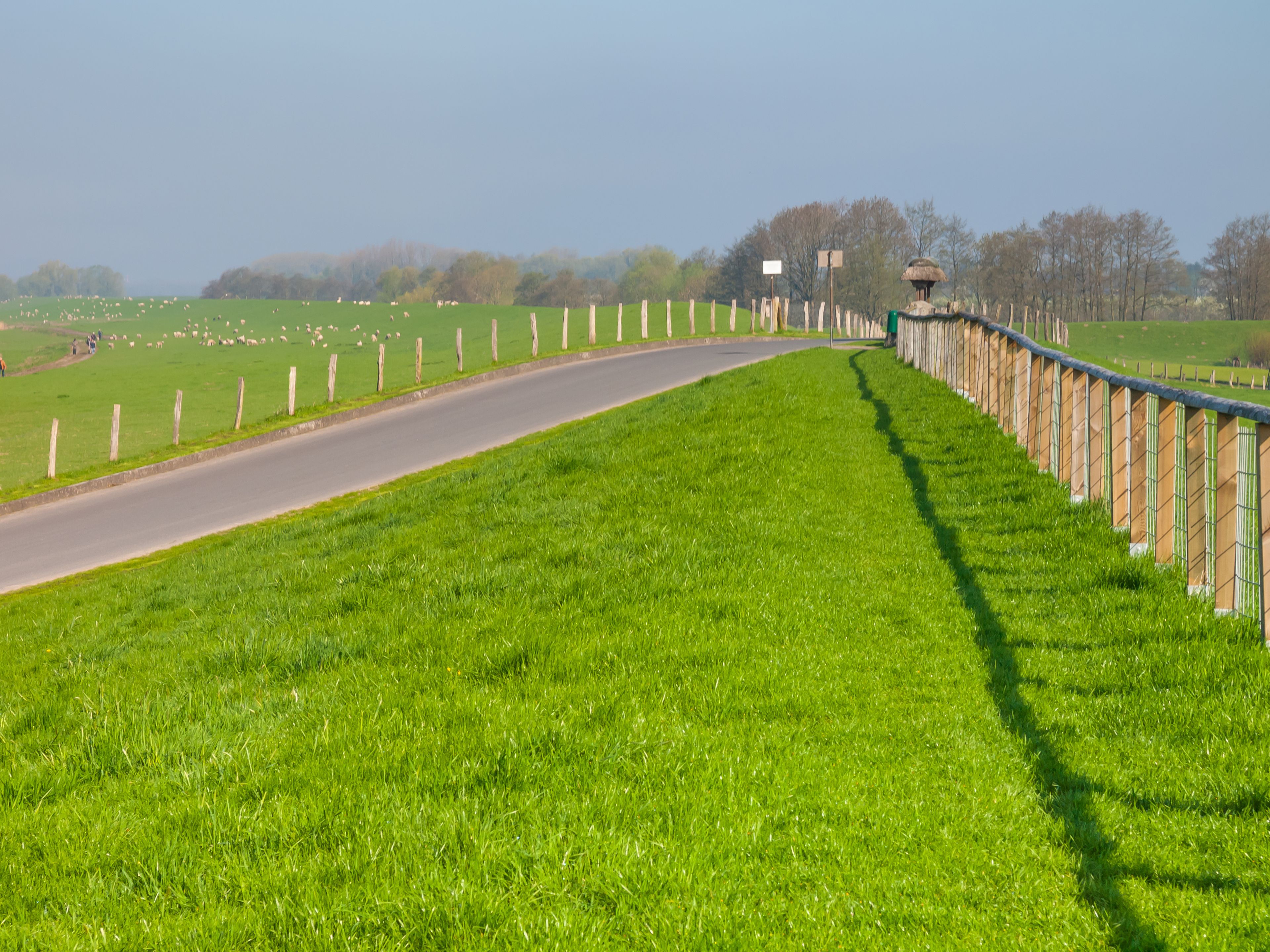 Un camino rural bordeado por campos verdes y una cerca.